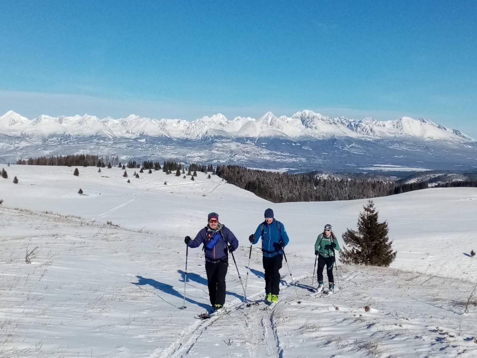 Penzion Plesnivec Poprad Exteriör bild